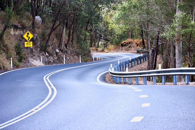 Foto carretera en medio de árboles y plantas en la ciudad