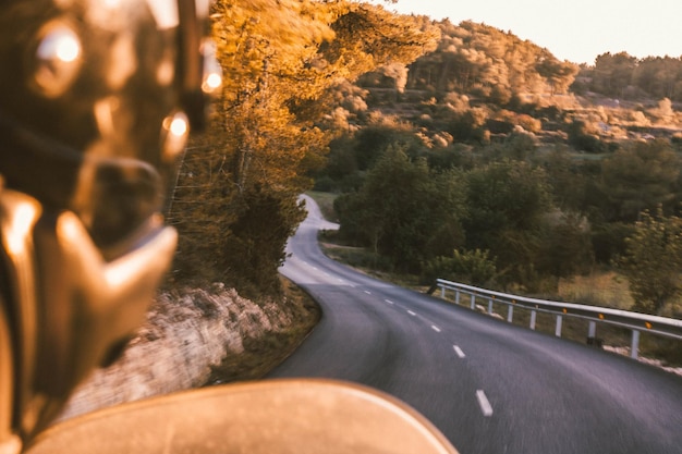 Foto carretera en medio de árboles vista a través del parabrisas del coche