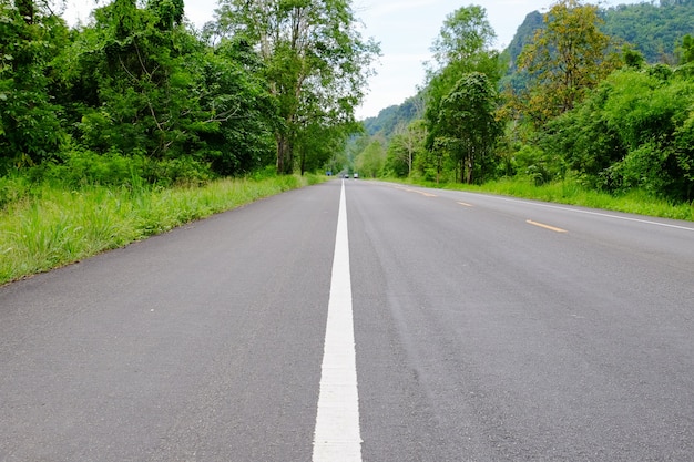 Carretera de montaña con árboles. La ruta escénica tiene árboles verdes y cielo. Viaje a Tailandia.