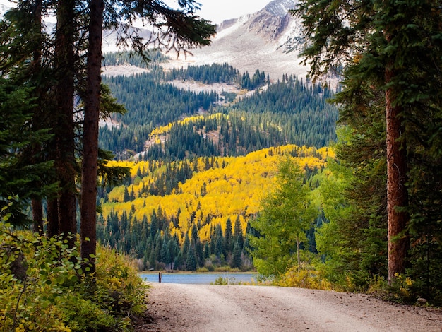 Carretera de montaña cerca de Lost Lake, Colorado.