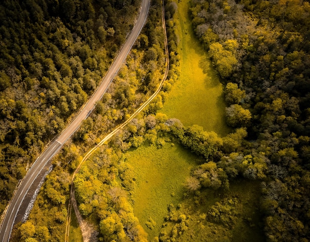 carretera de montaña cruzando un bosque