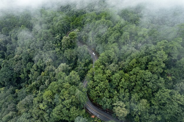 Carretera de montaña en días lluviosos y brumosos, Camino a Pai