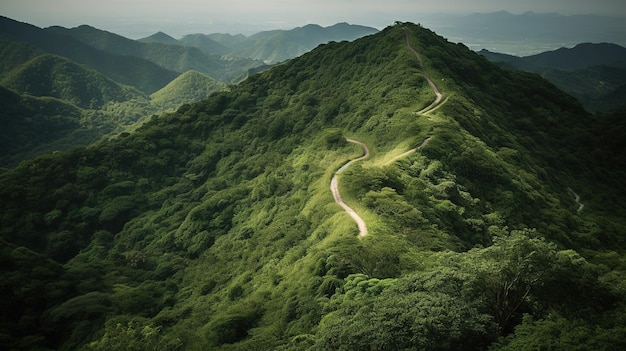 Una carretera de montaña en las montañas con un bosque verde al fondo