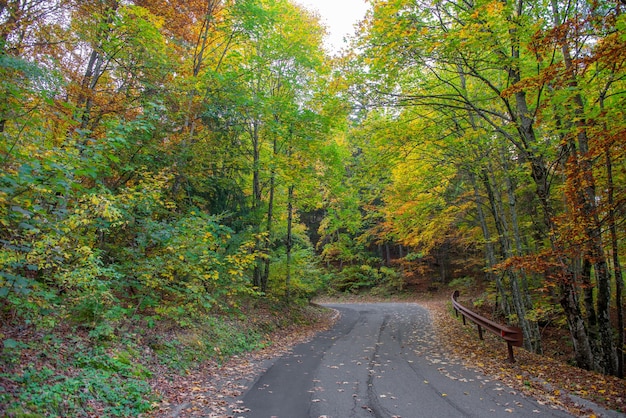 Carretera de montaña en otoño