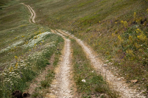 Carretera de montaña en el paisaje de la cresta de primavera