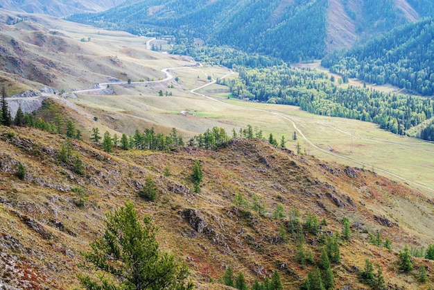 Carretera de montaña serpenteante. Vista del tracto Chuysky desde el paso Chike-Taman, montañas de Altai, Rusia