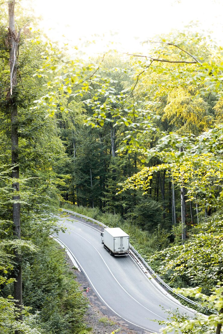Carretera de montaña a través del bosque