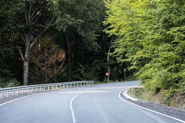 Carretera de montaña a través del bosque