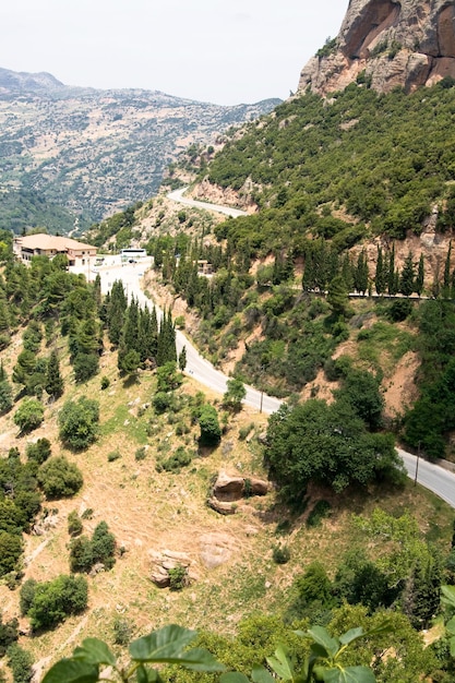 Carretera en las montañas de la isla del Peloponeso en Grecia. Muchas plantas verdes sobre un fondo de montaña