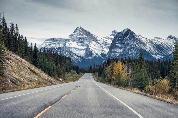 Foto carretera con montañas rocosas en bosque otoñal