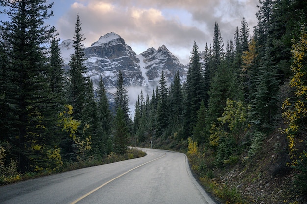 Carretera con montañas rocosas en bosque de pinos en el lago Moraine en el parque nacional de Banff