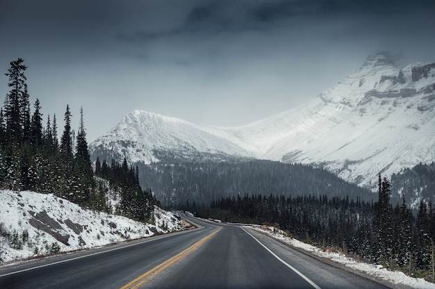 Carretera con nieve montaña en sombrío en Icefields Parkway