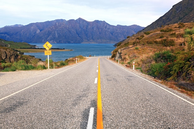 Foto carretera nueva zelanda