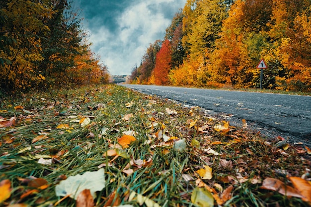 Carretera de otoño vacía en medio del bosque en colores otoñales Enfoque selectivo Procesamiento artístico