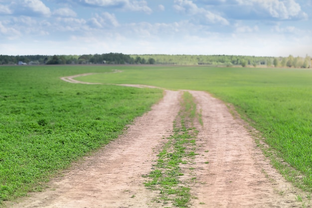 Carretera del paisaje en el campo en un día soleado de verano