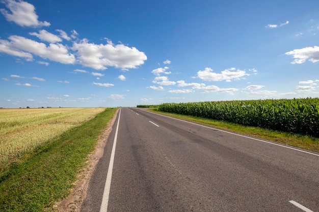 Carretera pavimentada en el campo