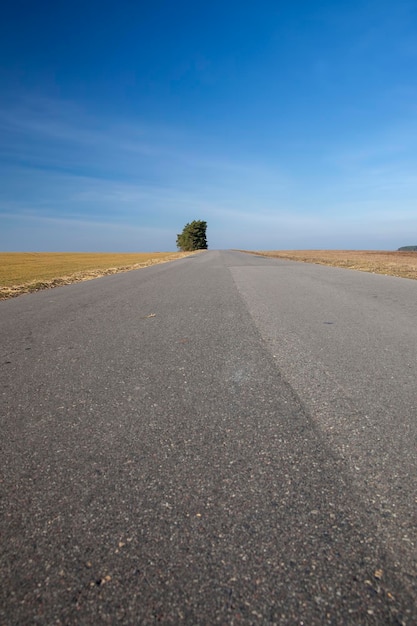 Carretera pavimentada en el campo