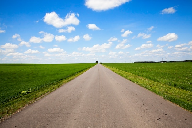 Carretera pavimentada, pasando por un campo agrícola