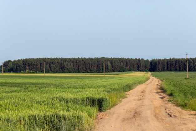 Carretera sin pavimentar en zonas rurales