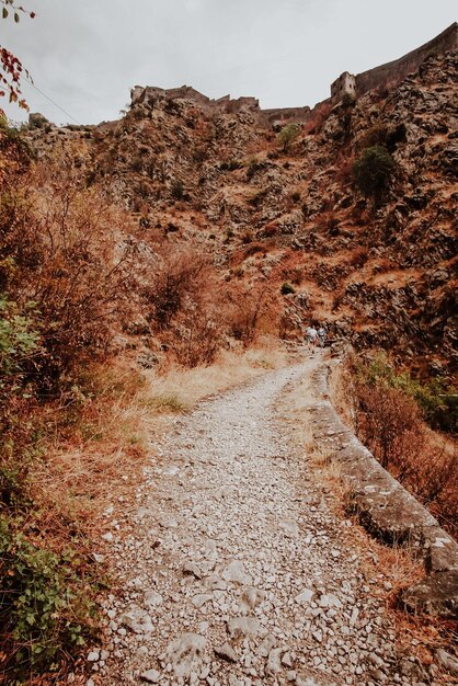 Foto carretera que pasa por el paisaje