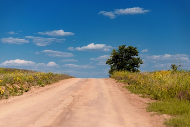 Carretera rural vacía entre campos contra el cielo azul y las nubes blancas