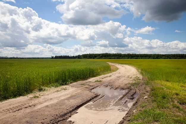 Carretera sucia y mojada después de la lluvia en el campo