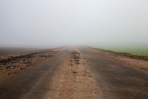 Carretera sucia en tiempo nublado de otoño a lo largo del campo