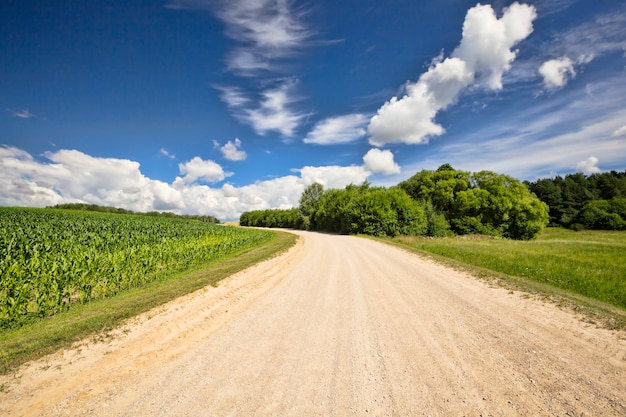 Carretera de tierra arenosa a través de campos agrícolas