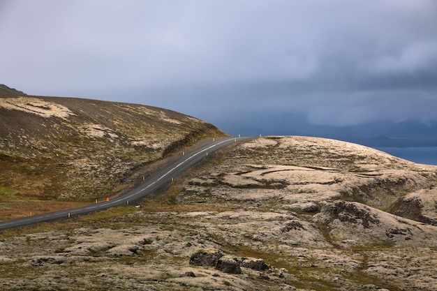 Carretera a través del paisaje de Islandia en un día nublado