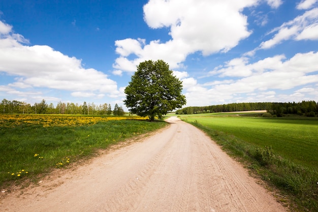 Carretera, ubicada en el campo en la primavera