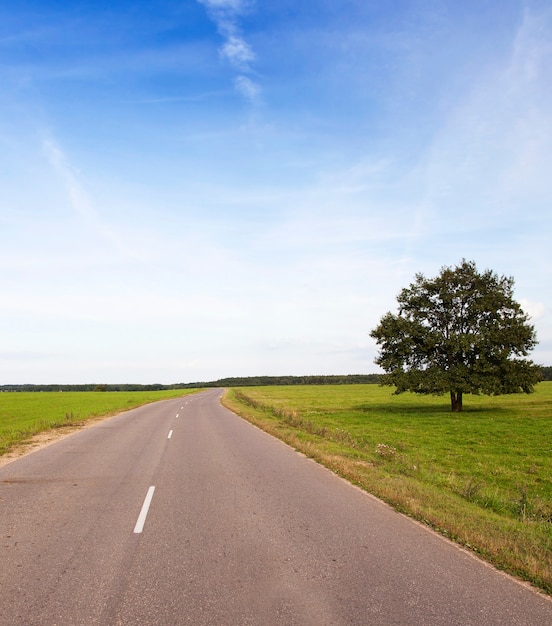 Carretera, ubicada en el campo en la temporada de primavera