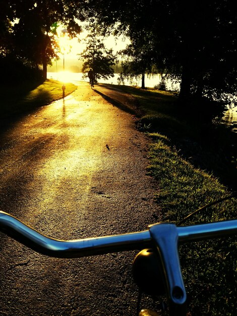 Foto carretera vacía con árboles en el fondo