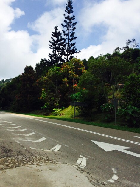 Foto carretera vacía con árboles en el fondo