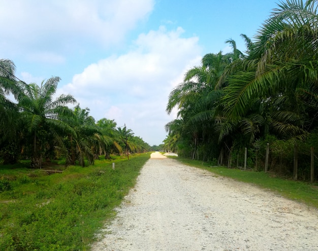 Carretera vacía en el conteo