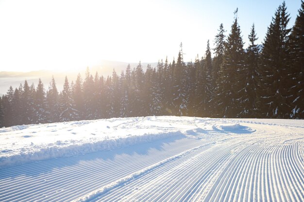 Carretera vacía cubierta de nieve el día de invierno