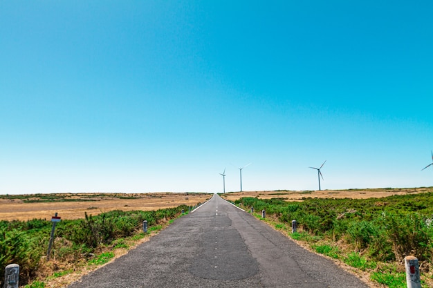 Carretera vacía en una meseta en la isla de Madeira. Paul Serra.