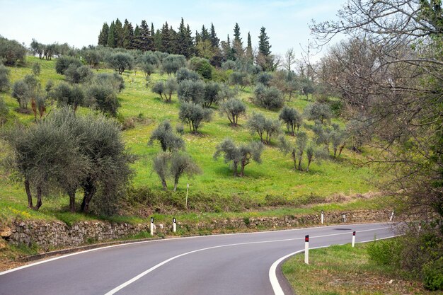 Carretera vacía en la Toscana