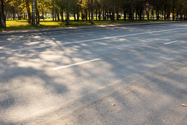 Carretera de varios carriles y árboles amarillos de otoño