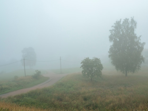 Una carretera de verano con niebla con postes de telégrafo.