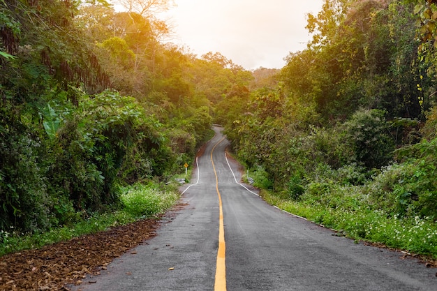 Carretera en las zonas tropicales de la selva en Tailandia.