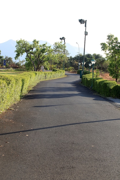 Foto la carretera