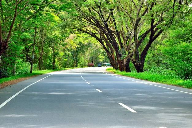 Foto la carretera