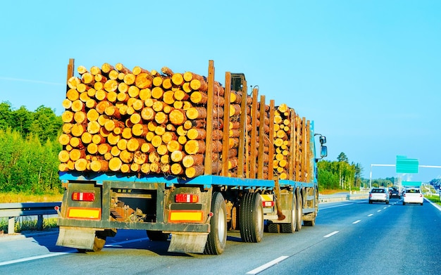 Carretilla en carretera de verano de Polonia. Camionero en carretera. Camión haciendo trabajo de logística. Semirremolque con conductor. Unidad de coche de carga grande. Entrega de carga. Industria del transporte de exportación. Contenedor con mercancías