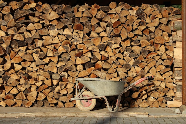 Carretilla delante de troncos de madera apilados