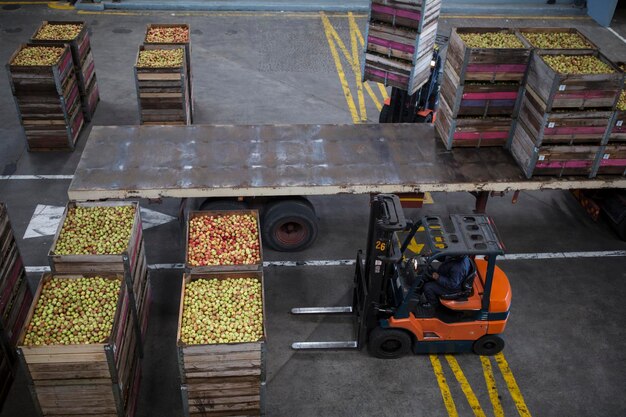 Foto carretilla elevadora moviendo cajas con manzanas