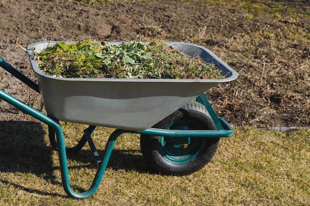 Carretilla con hierba y hojas Jardinería Cuidado de plantaciones Poda estacional de árboles, arbustos y otras plantas perennes