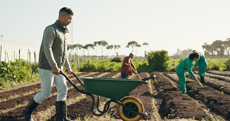 Foto carretilla de hombre y tierra para trabajar en la granja para la agroindustria paisajismo o jardinería en el campo persona caminar y campo para la nutrición desarrollo ecológico o crecimiento futuro plantando para la cosecha