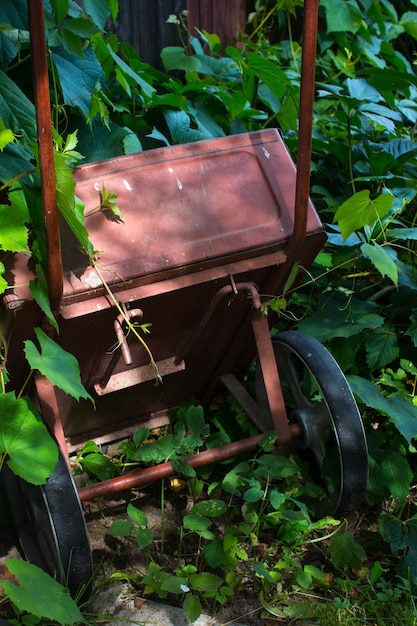 Una carretilla de jardín en el patio trasero de la casa Trabajos de jardinería en el pueblo