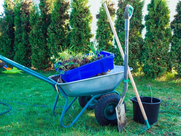 Carretilla llena de ramas de jardinería en primavera