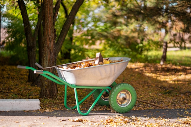 Una carretilla de metal para un jardinero que recoge hojas amarillas caídas en un parque